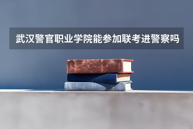 新高考省份不区分本科一批